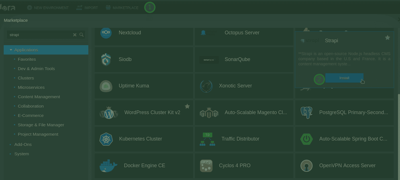 Cloud Hosting