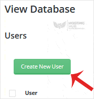 How to Create a New Database User in DirectAdmin - 2024