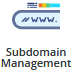 How to Add a Subdomain in DirectAdmin - 2024