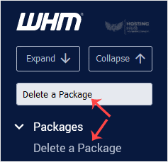 How to Delete a Package in WHM - 2024